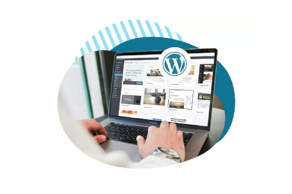 Choosing the right hosting for WordPress